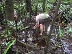 01-0-Copr_2026-Expedition_DG_12_Suriname_2012t.jpg